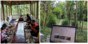 Peepal Farm Rescue DHaramshala