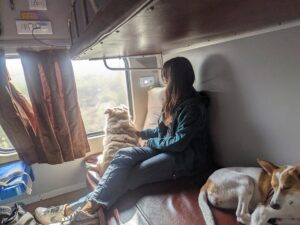 travel with dogs in train in India