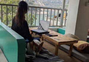 ruminations of a marketing professional