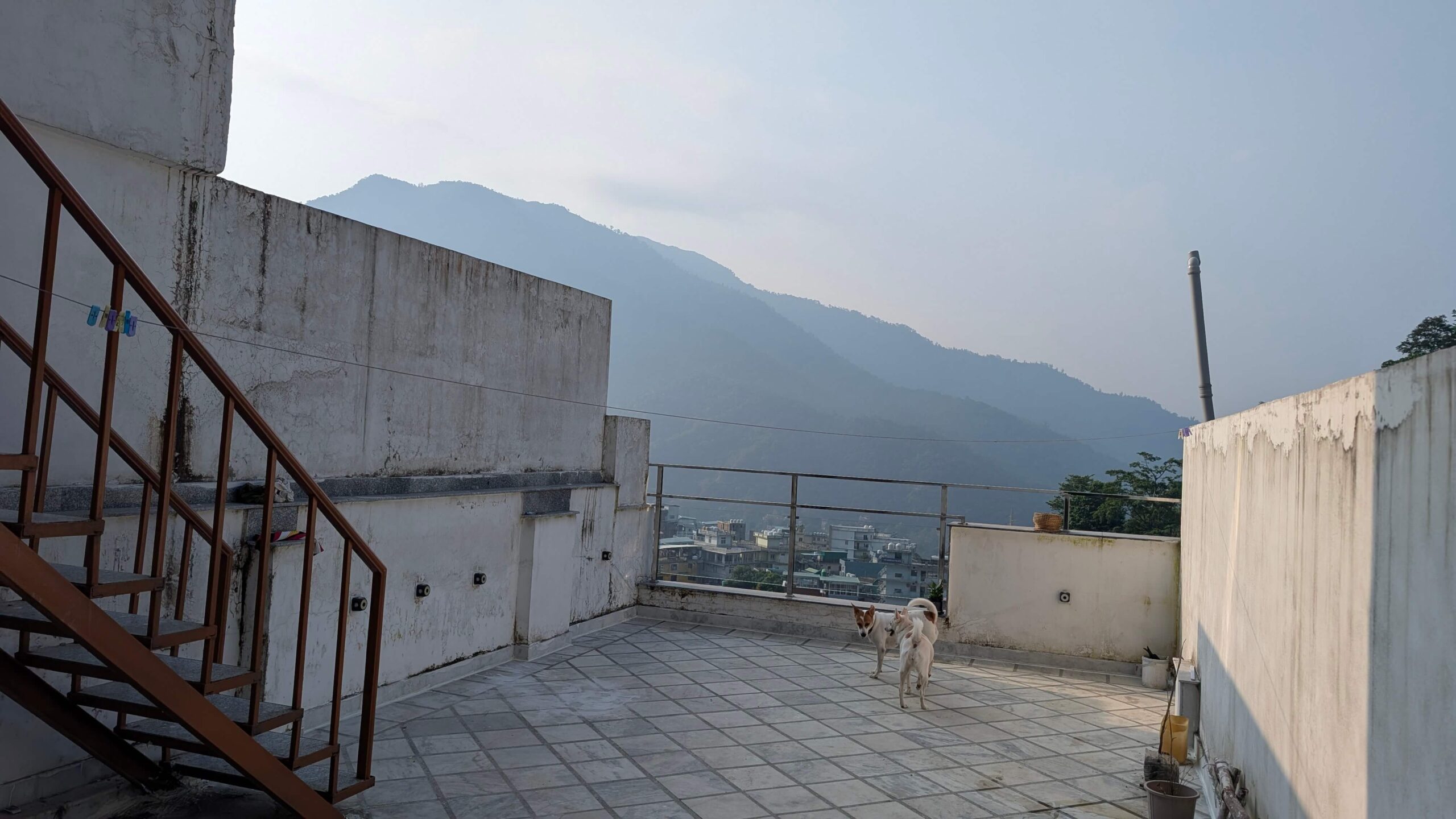 Common terrace 3